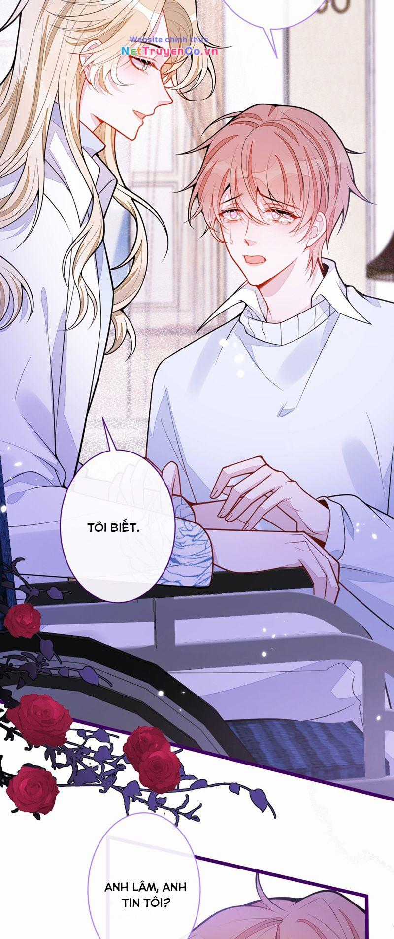 Báo Ân Của Sói - Chapter 41 - Trang 6