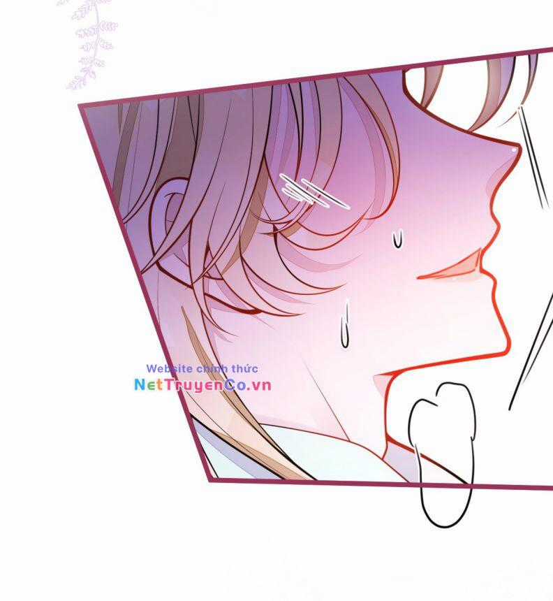 Báo Ân Của Sói - Chapter 42 - Trang 18