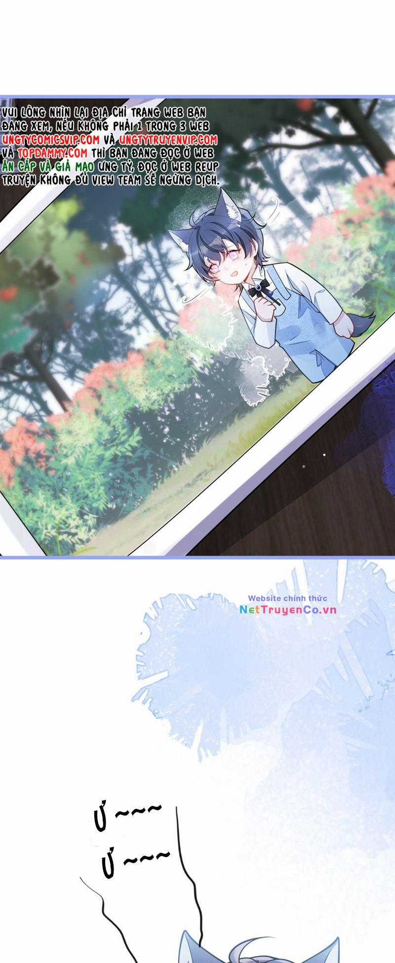 Báo Ân Của Sói - Chapter 43 - Trang 5