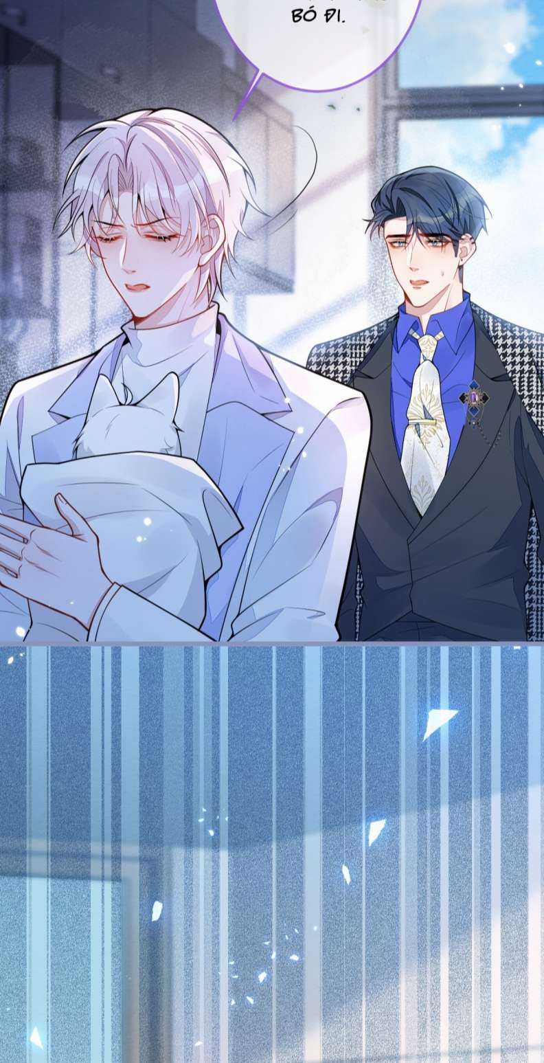 Báo Ân Của Sói - Chapter 5 - Trang 12