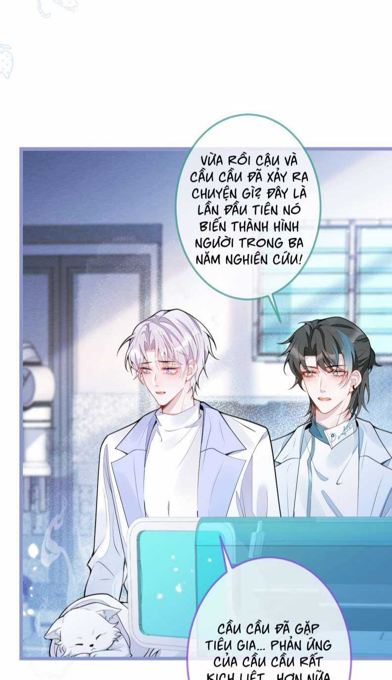 Báo Ân Của Sói - Chapter 5 - Trang 23