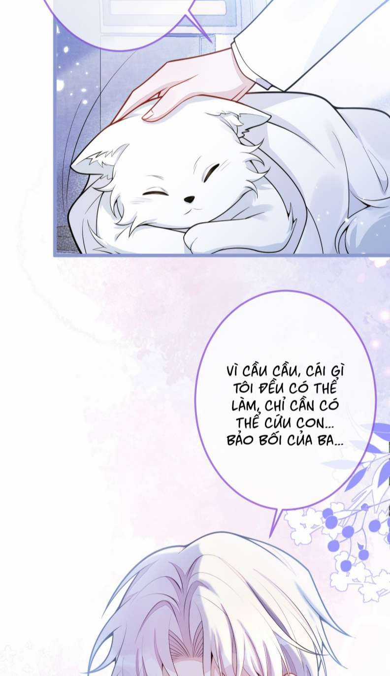 Báo Ân Của Sói - Chapter 5 - Trang 29