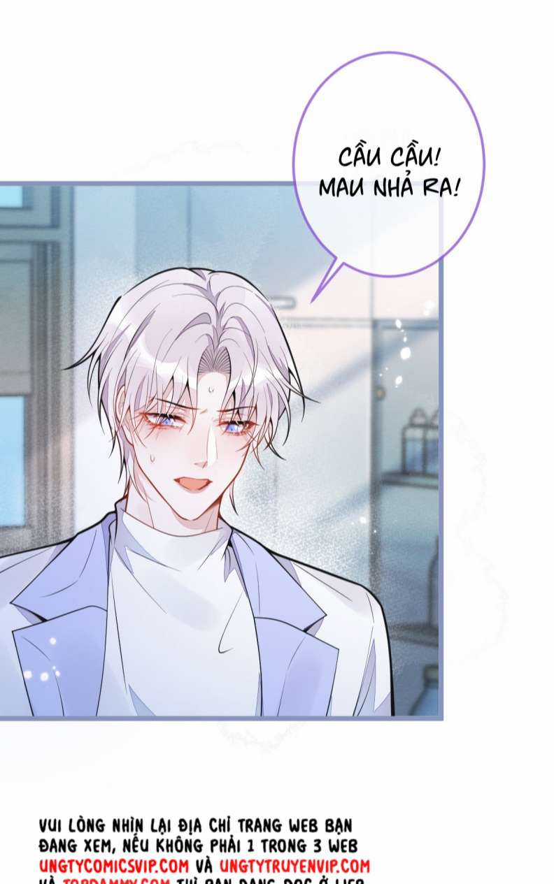 Báo Ân Của Sói - Chapter 5 - Trang 4