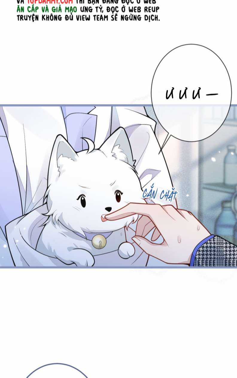 Báo Ân Của Sói - Chapter 5 - Trang 5