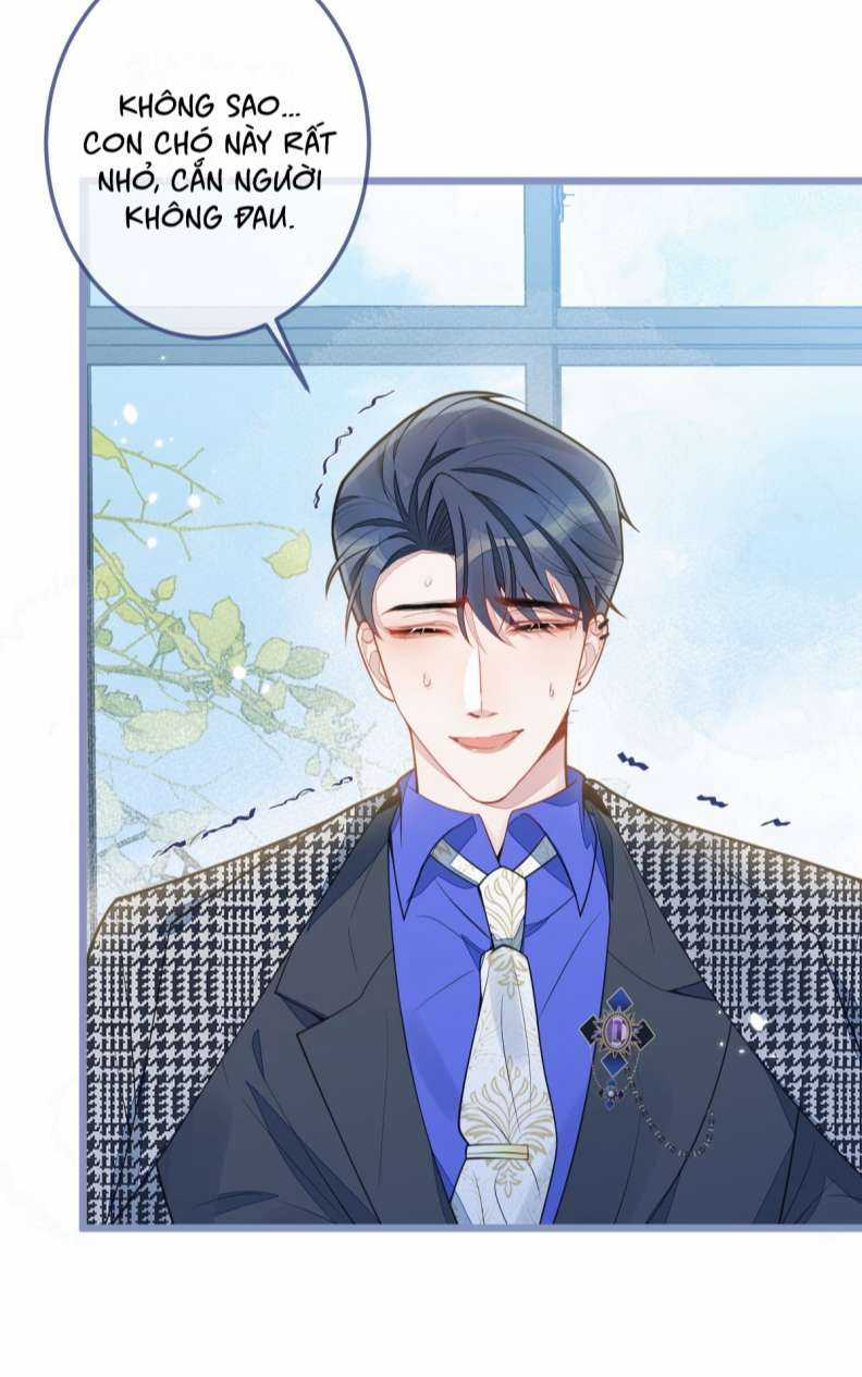 Báo Ân Của Sói - Chapter 5 - Trang 6