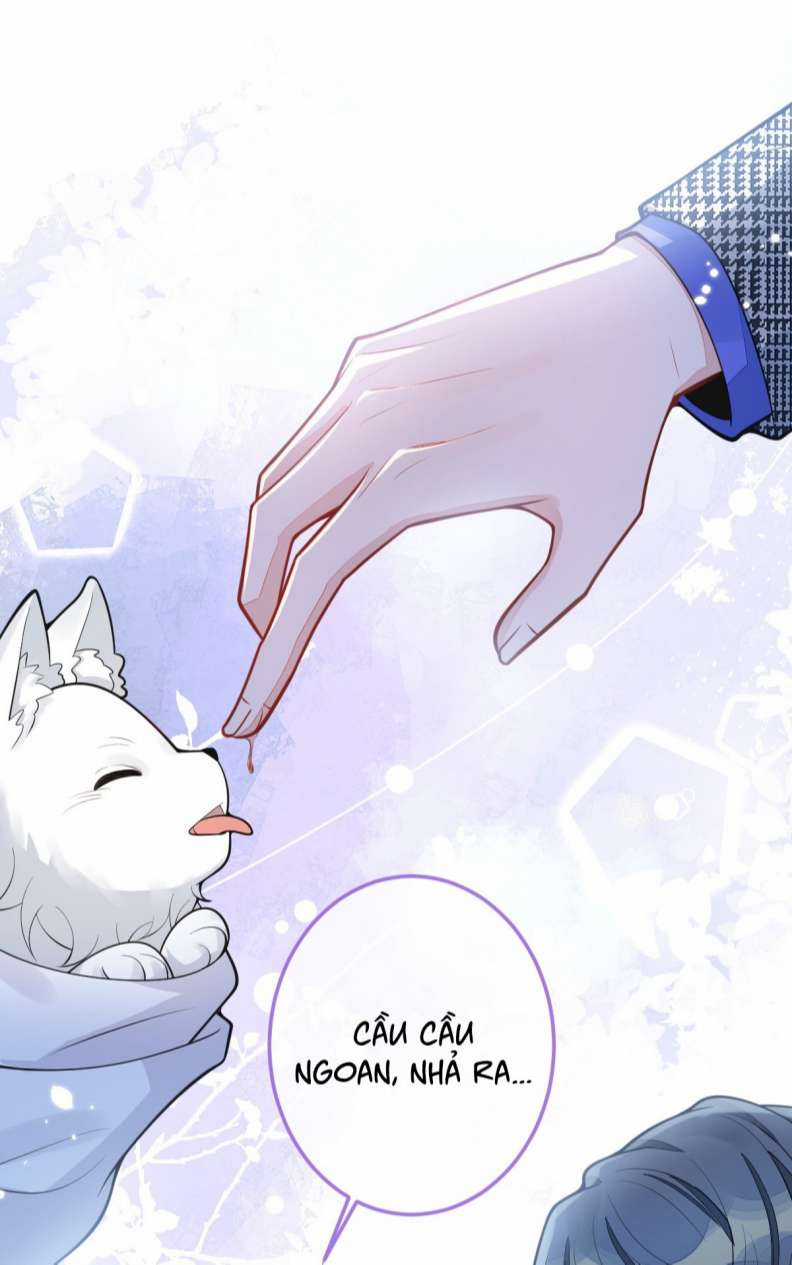 Báo Ân Của Sói - Chapter 5 - Trang 7