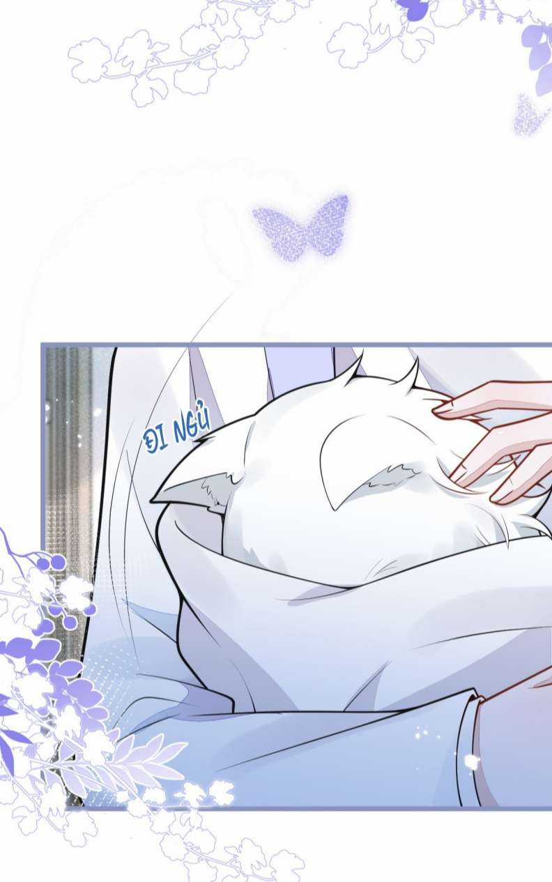 Báo Ân Của Sói - Chapter 5 - Trang 9