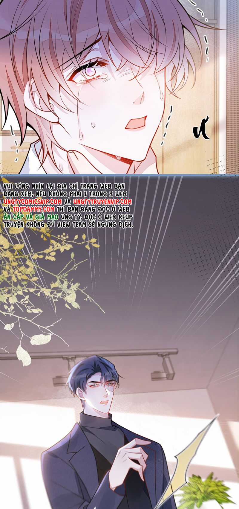 Báo Ân Của Sói - Chapter 52 - Trang 24