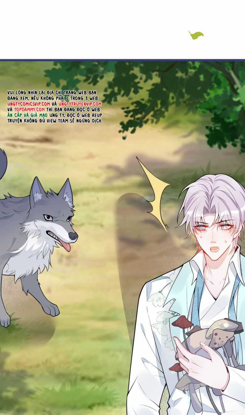 Báo Ân Của Sói - Chapter 55 - Trang 7