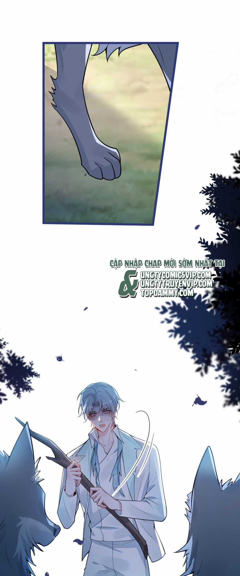 Báo Ân Của Sói - Chapter 55 - Trang 9