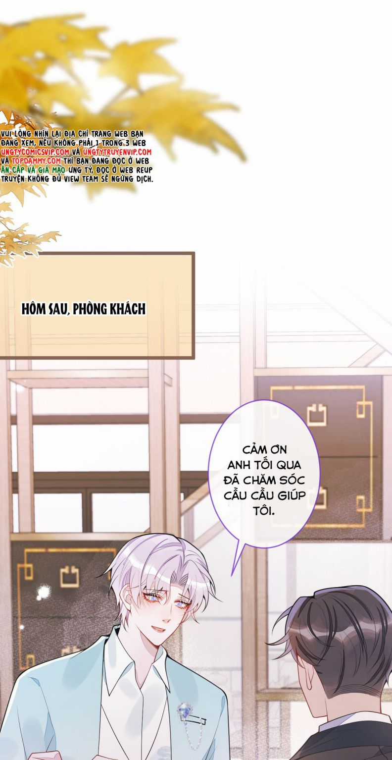 Báo Ân Của Sói - Chapter 61 - Trang 6