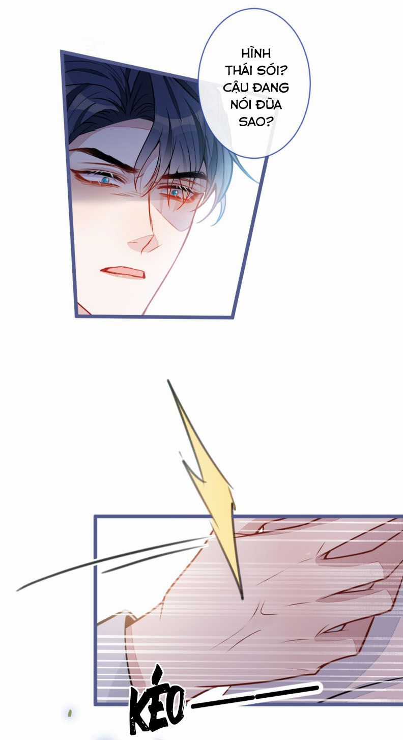 Báo Ân Của Sói - Chapter 64 - Trang 29