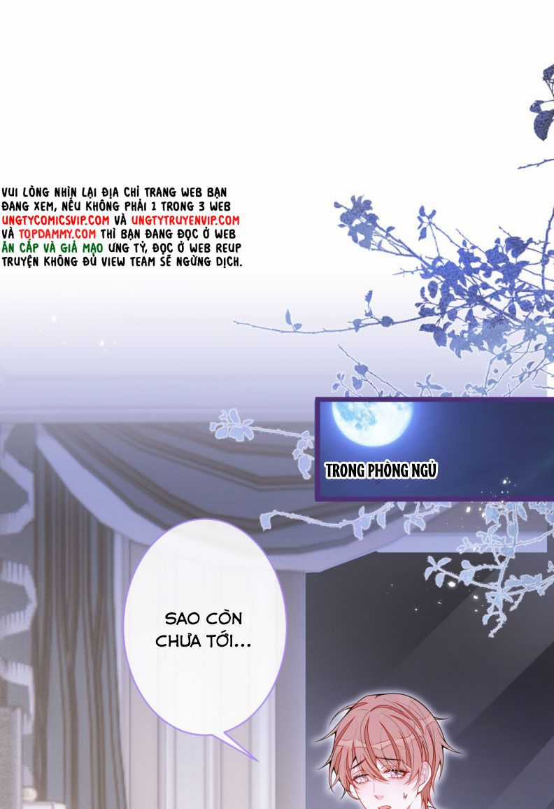 Báo Ân Của Sói - Chapter 64 - Trang 8
