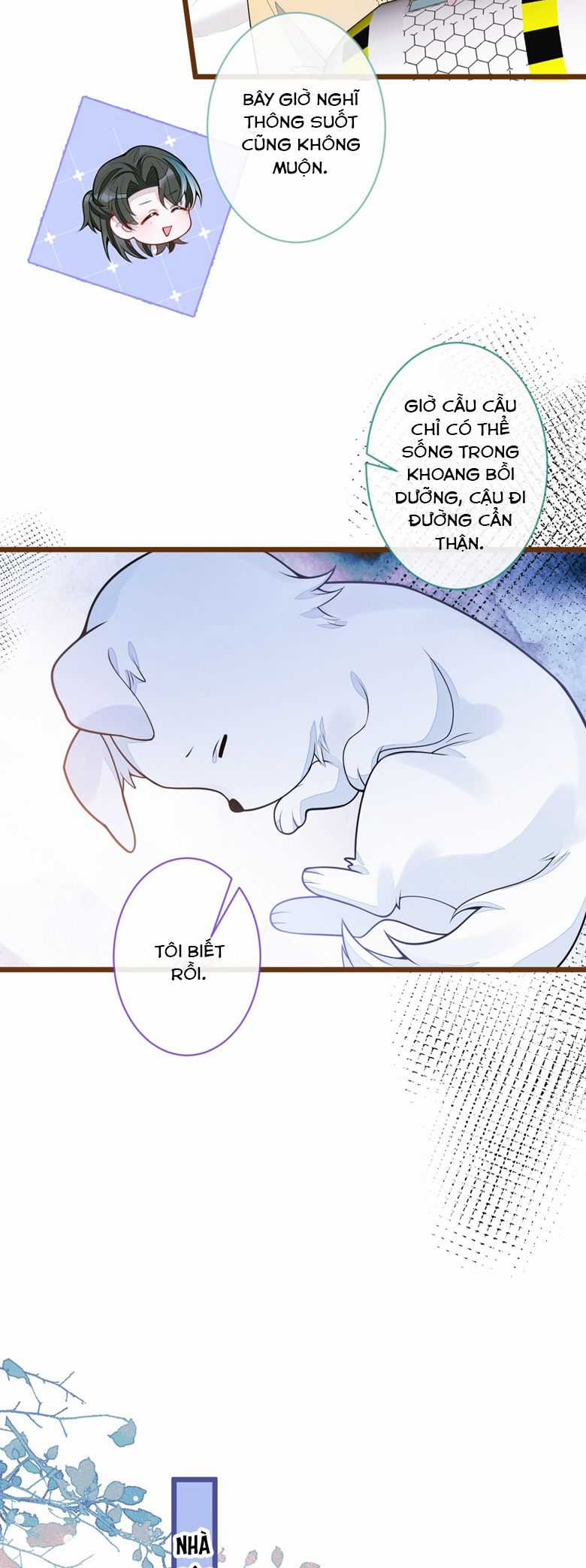 Báo Ân Của Sói - Chapter 65 - Trang 15