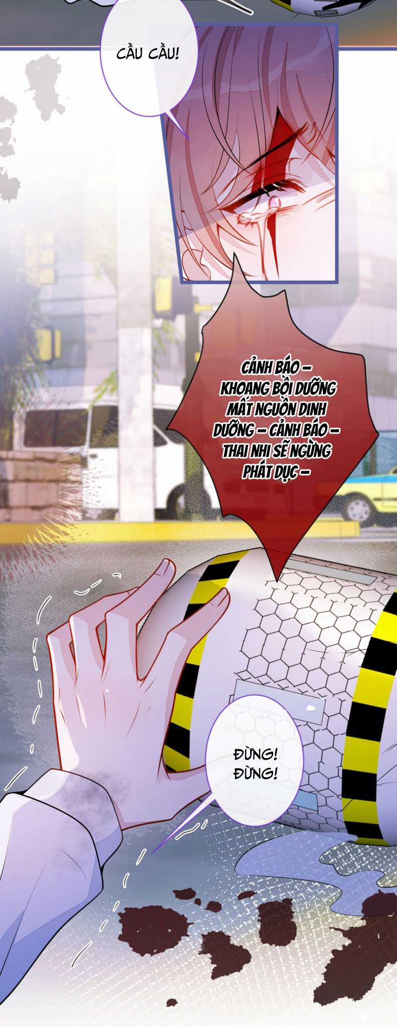 Báo Ân Của Sói - Chapter 66 - Trang 6