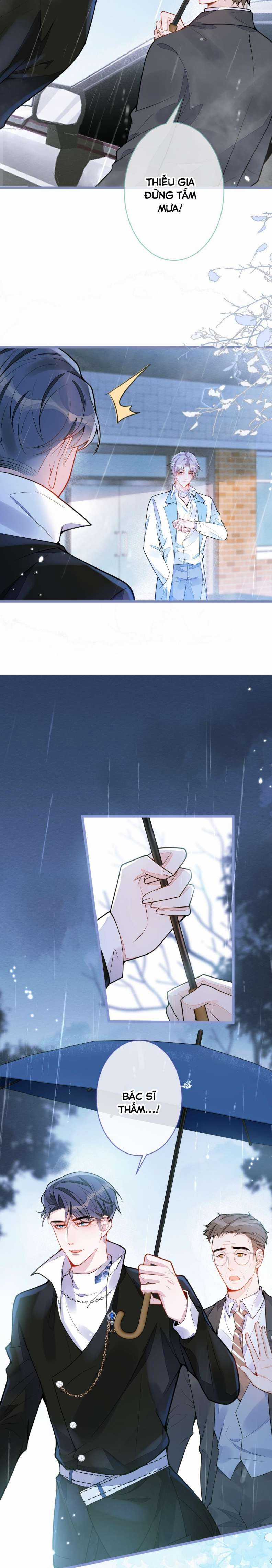 Báo Ân Của Sói - Chapter 7 - Trang 11