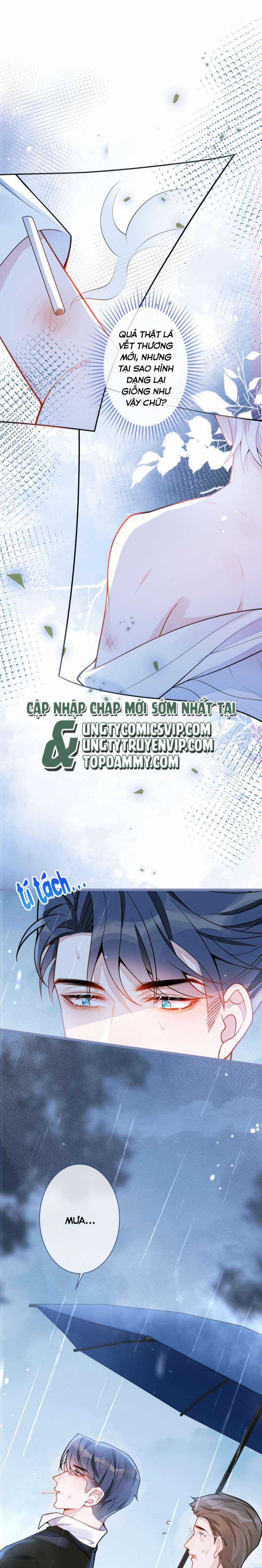 Báo Ân Của Sói - Chapter 7 - Trang 10
