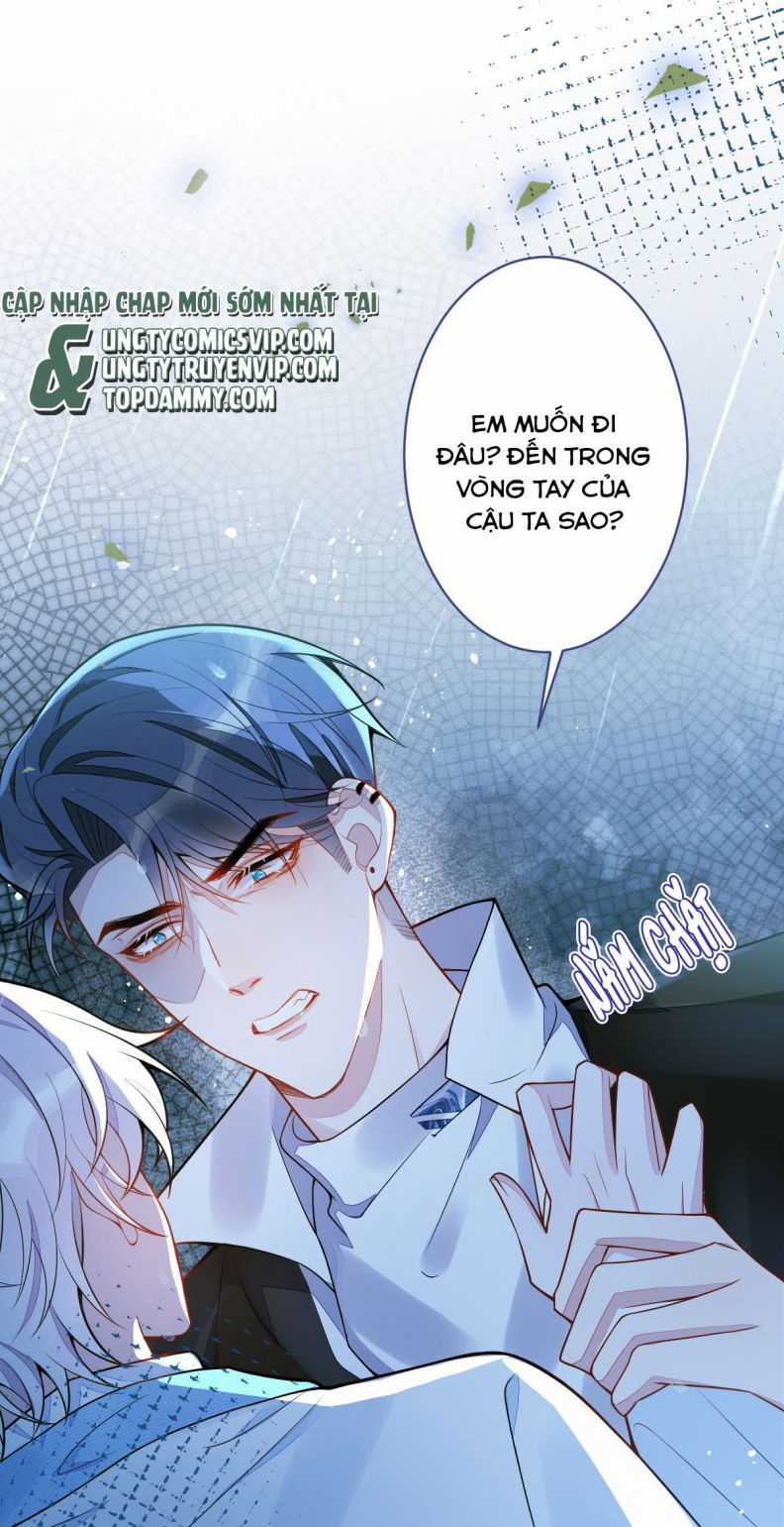 Báo Ân Của Sói - Chapter 8 - Trang 20