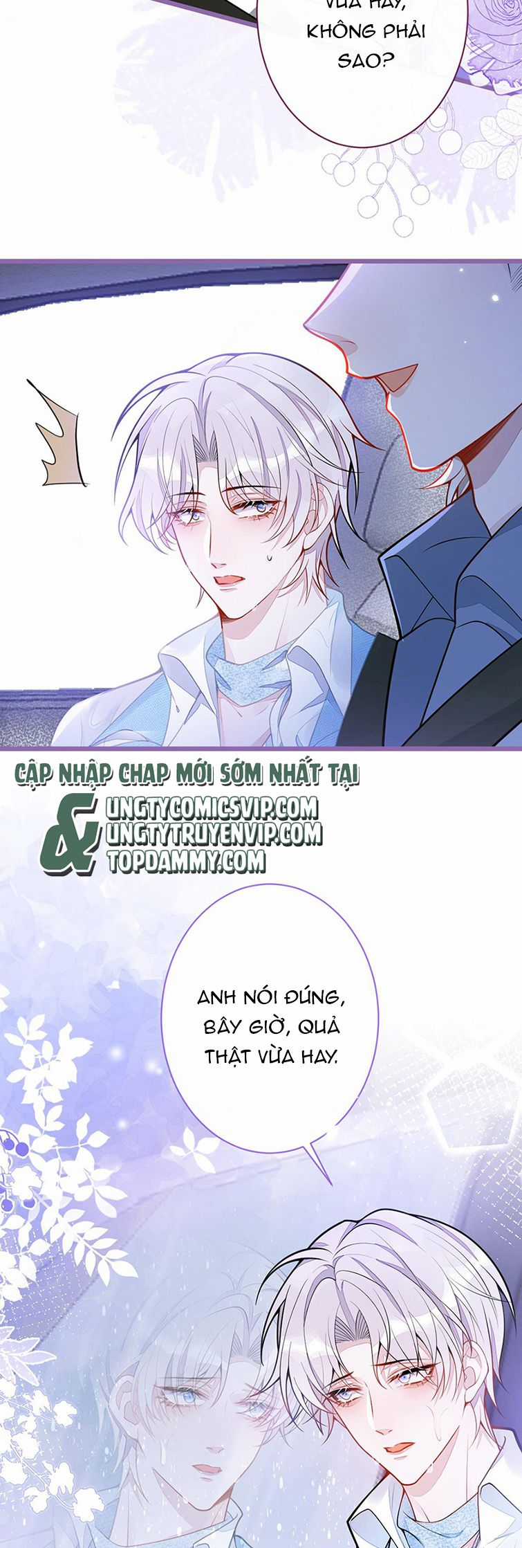Báo Ân Của Sói - Chapter 9 - Trang 19