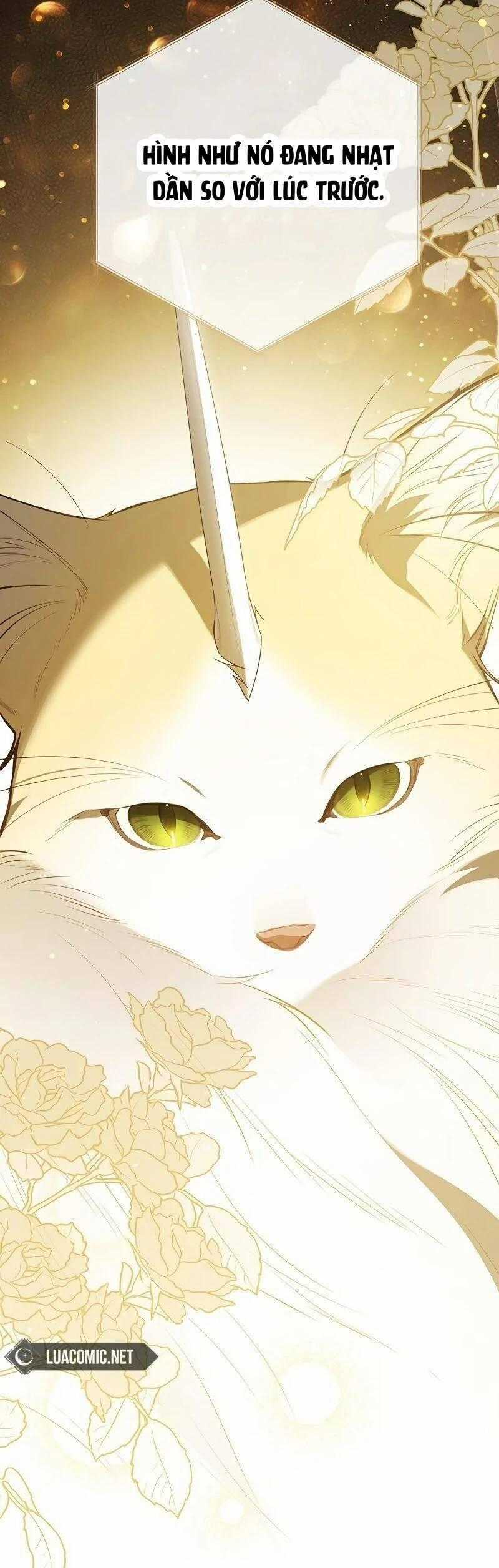 Bạo Chúa Bé Con - Chapter 85 - Trang 63