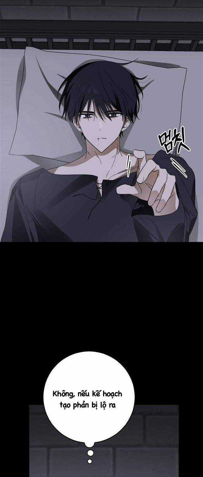 Bạo Chúa Thân Mến - Chapter 5 - Trang 39