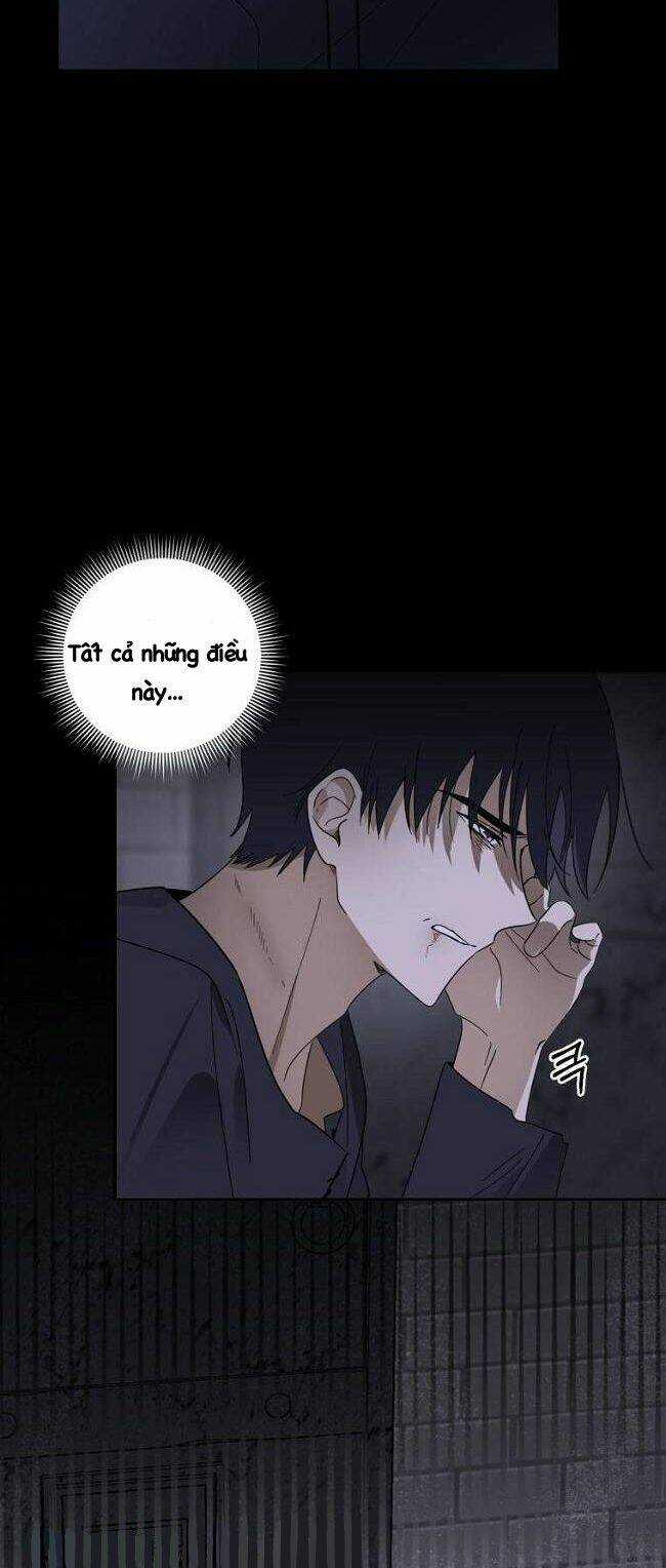 Bạo Chúa Thân Mến - Chapter 5 - Trang 43