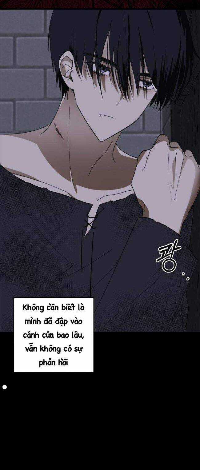 Bạo Chúa Thân Mến - Chapter 5 - Trang 47