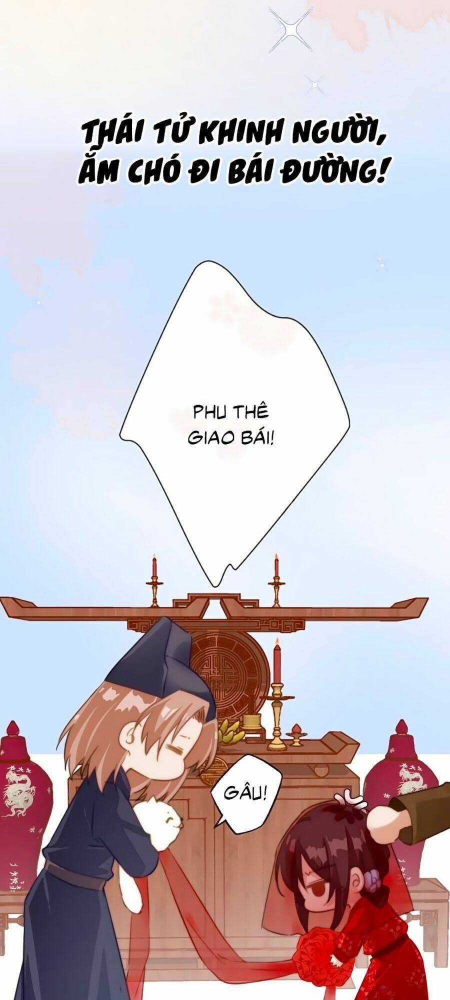 Bạo Sủng Tiểu Manh Phi - Chapter 0 - Trang 10