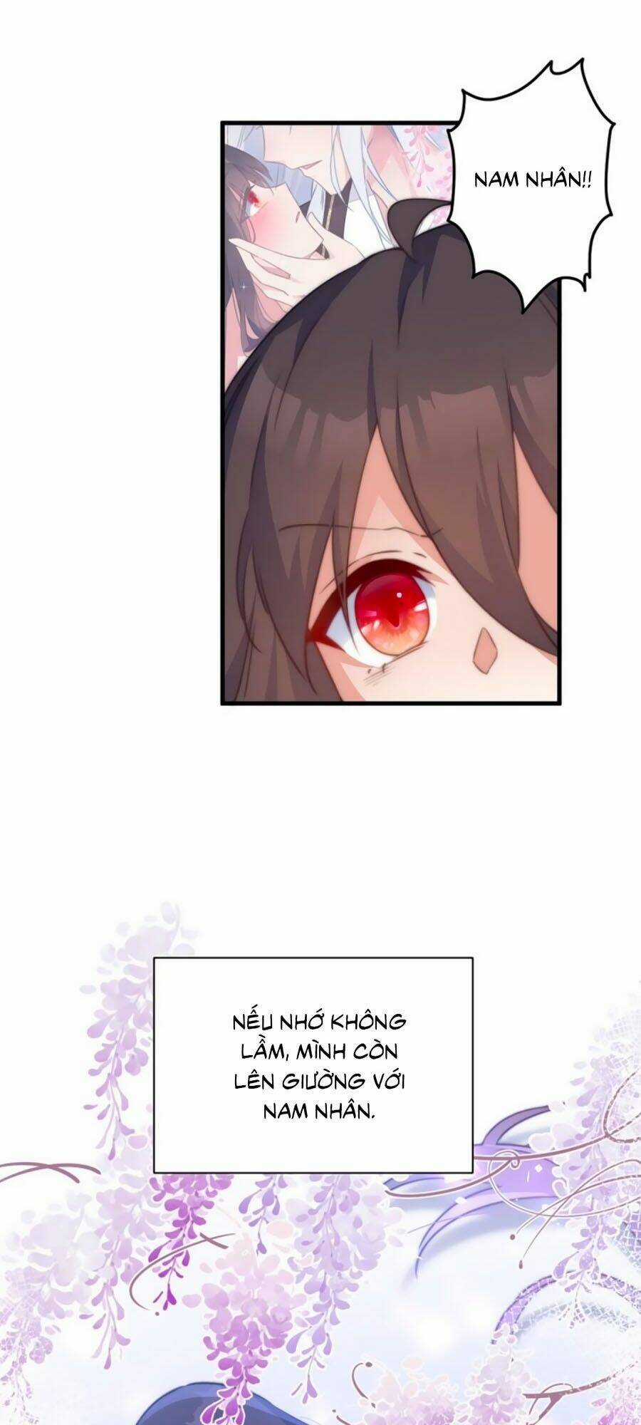 Bạo Sủng Tiểu Manh Phi - Chapter 1 - Trang 11