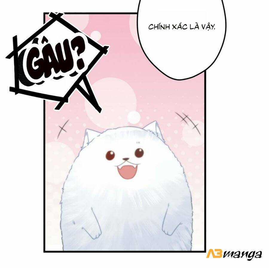 Bạo Sủng Tiểu Manh Phi - Chapter 10 - Trang 9