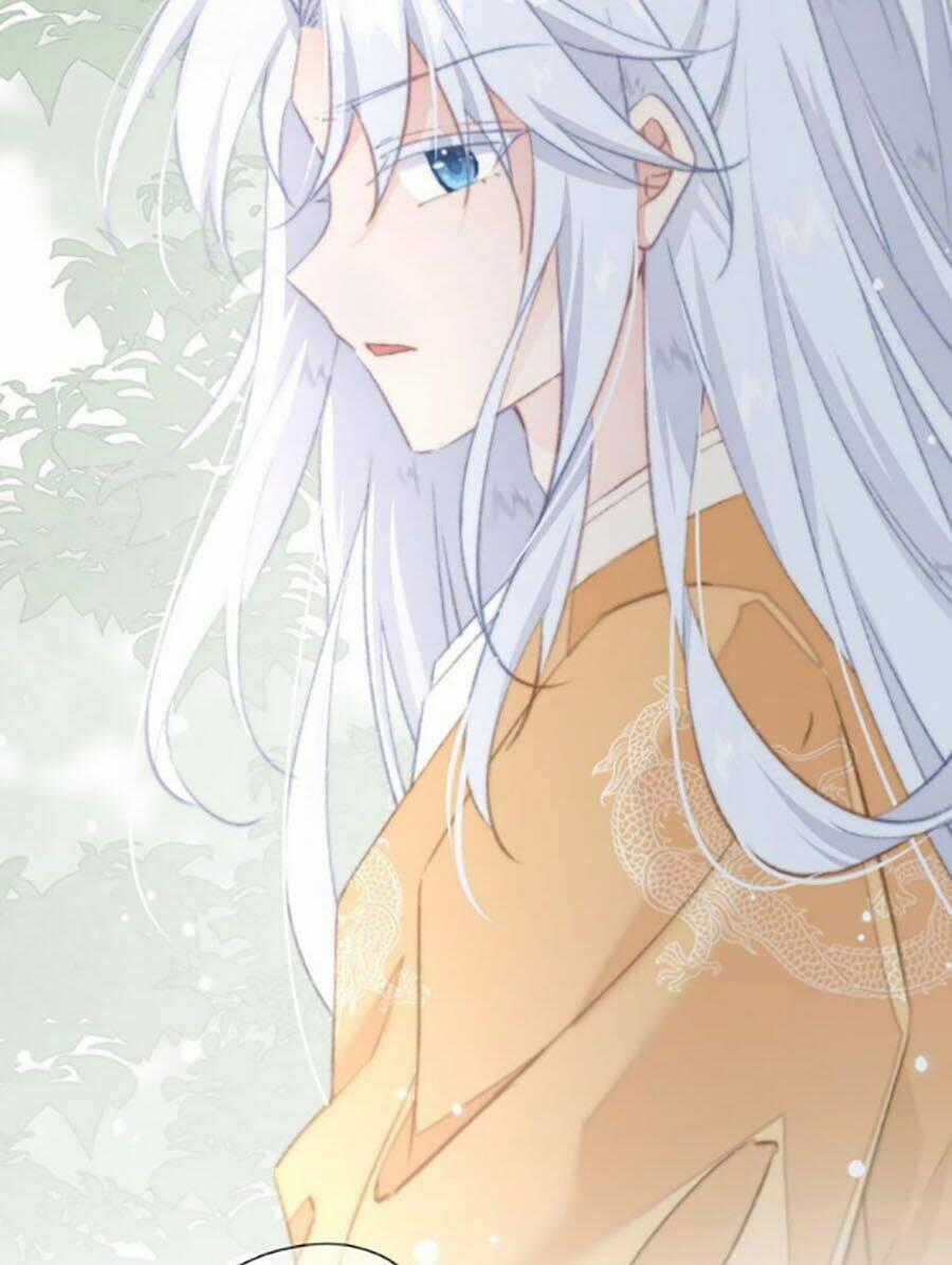 Bạo Sủng Tiểu Manh Phi - Chapter 11 - Trang 31