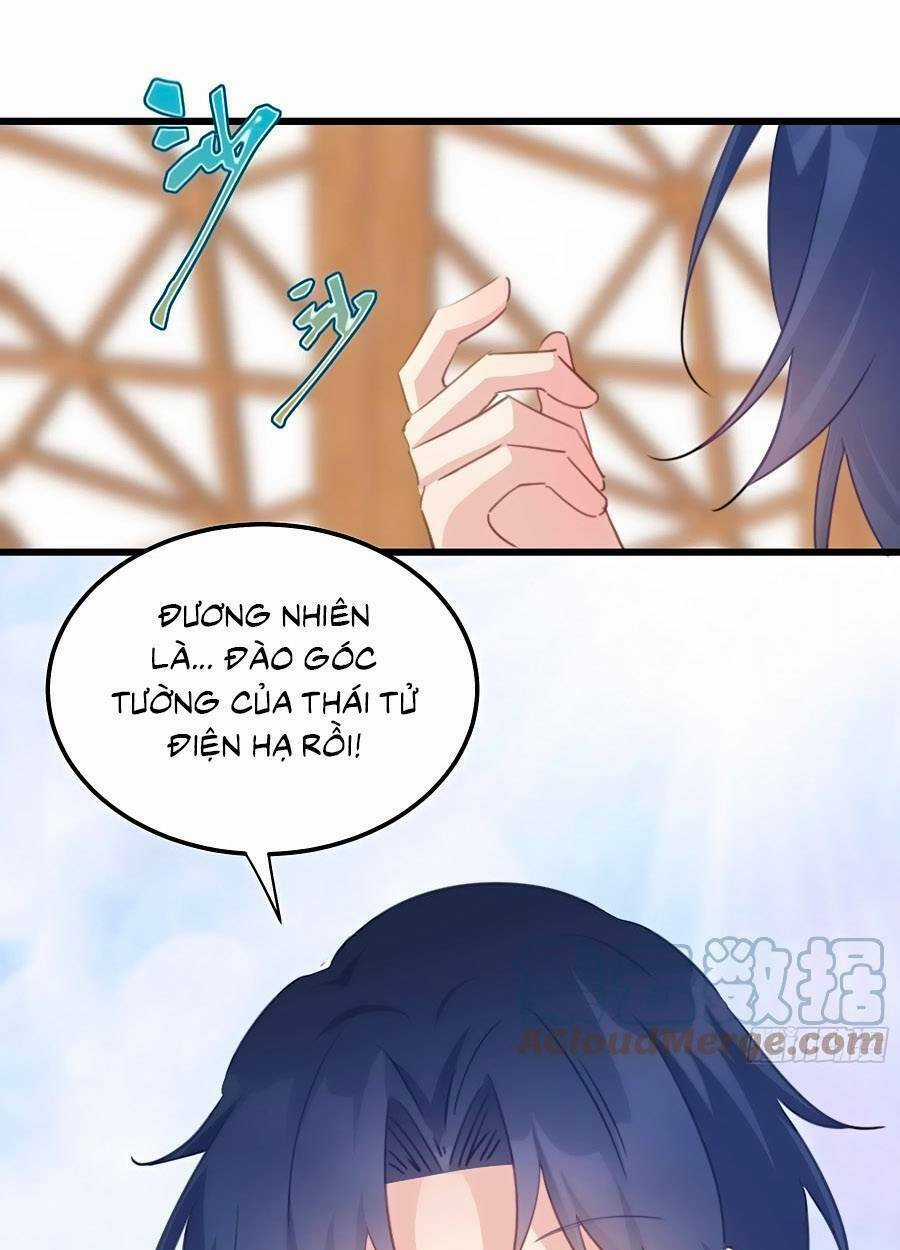 Bạo Sủng Tiểu Manh Phi - Chapter 111 - Trang 14