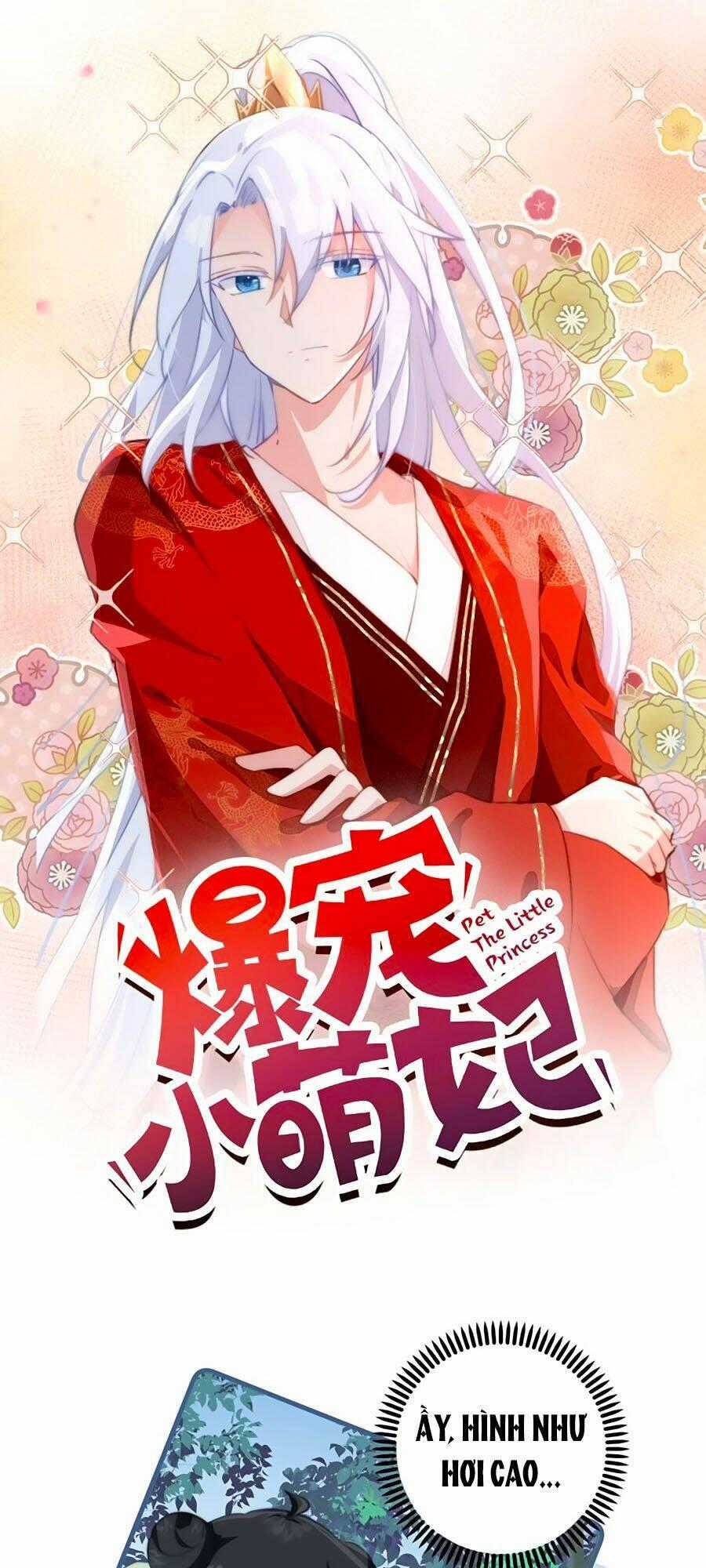 Bạo Sủng Tiểu Manh Phi - Chapter 16 - Trang 1