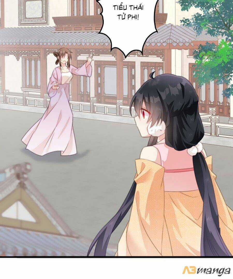 Bạo Sủng Tiểu Manh Phi - Chapter 27 - Trang 22