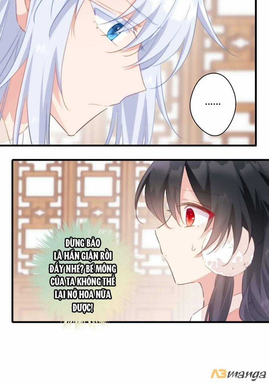 Bạo Sủng Tiểu Manh Phi - Chapter 28 - Trang 2