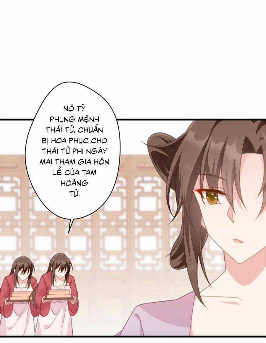Bạo Sủng Tiểu Manh Phi - Chapter 30 - Trang 4