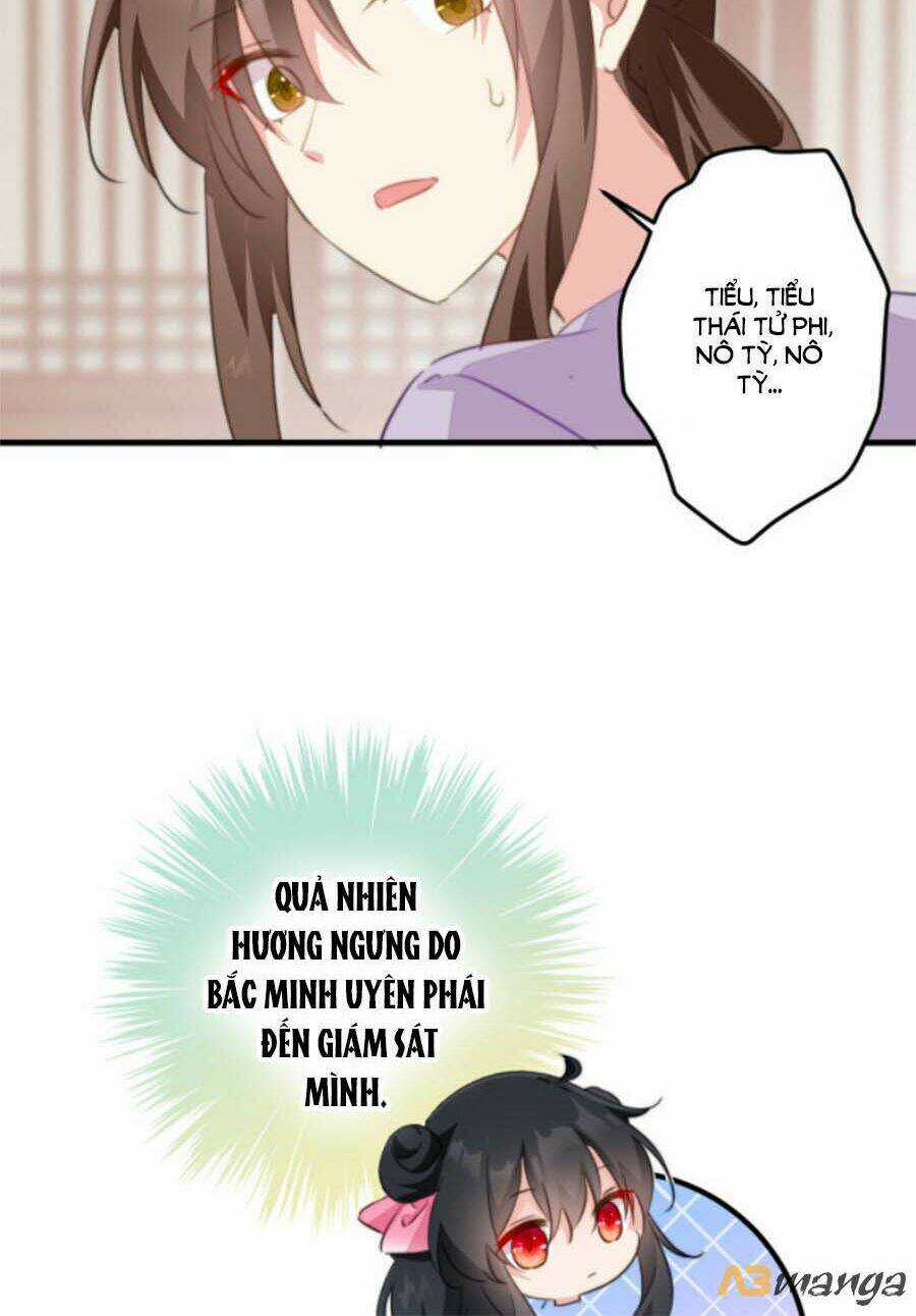 Bạo Sủng Tiểu Manh Phi - Chapter 41 - Trang 19