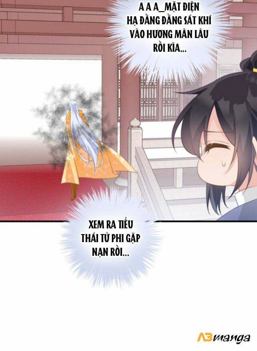 Bạo Sủng Tiểu Manh Phi - Chapter 47 - Trang 20