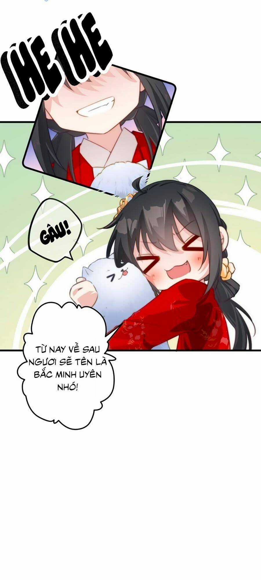 Bạo Sủng Tiểu Manh Phi - Chapter 5 - Trang 13