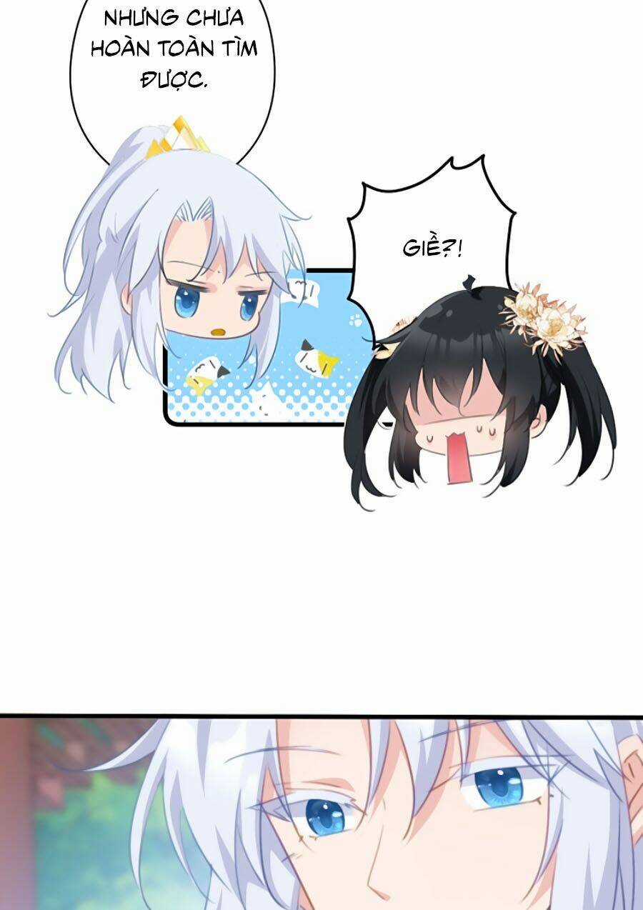 Bạo Sủng Tiểu Manh Phi - Chapter 71 - Trang 5