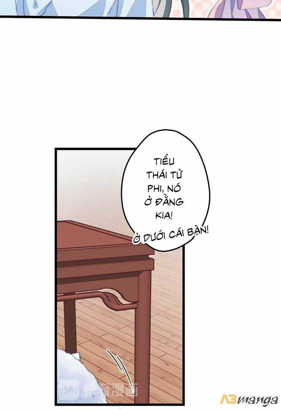 Bạo Sủng Tiểu Manh Phi - Chapter 8 - Trang 4