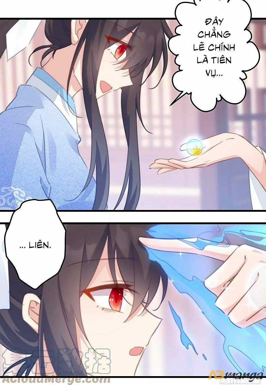 Bạo Sủng Tiểu Manh Phi - Chapter 86 - Trang 5