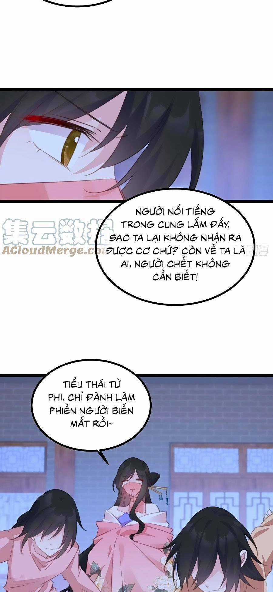 Bạo Sủng Tiểu Manh Phi - Chapter 95 - Trang 11