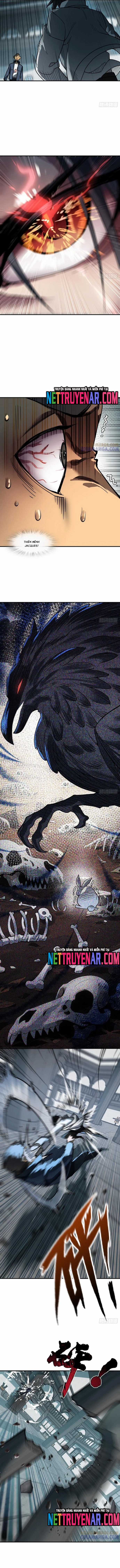 Bắt Đầu Từ Cửu Đầu Điểu - Chapter 321 - Trang 5