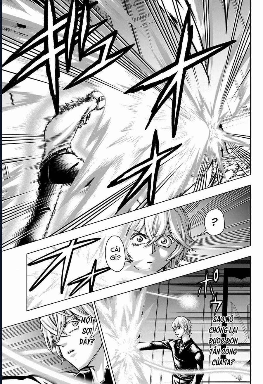Bất Hạnh Và Bất Tử - Chapter 229 - Trang 15