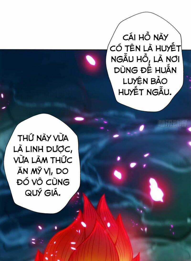 Bất Hủ Phàm Nhân - Chapter 24 - Trang 24