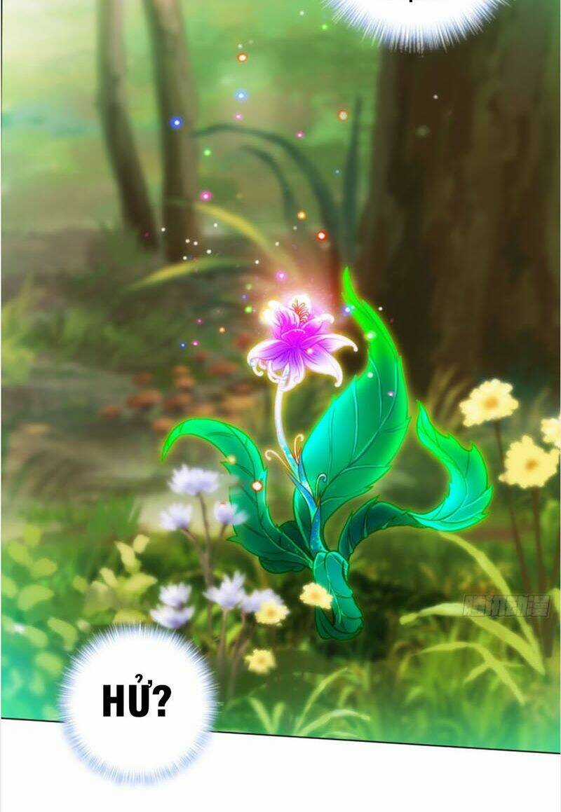 Bất Hủ Phàm Nhân - Chapter 29 - Trang 26