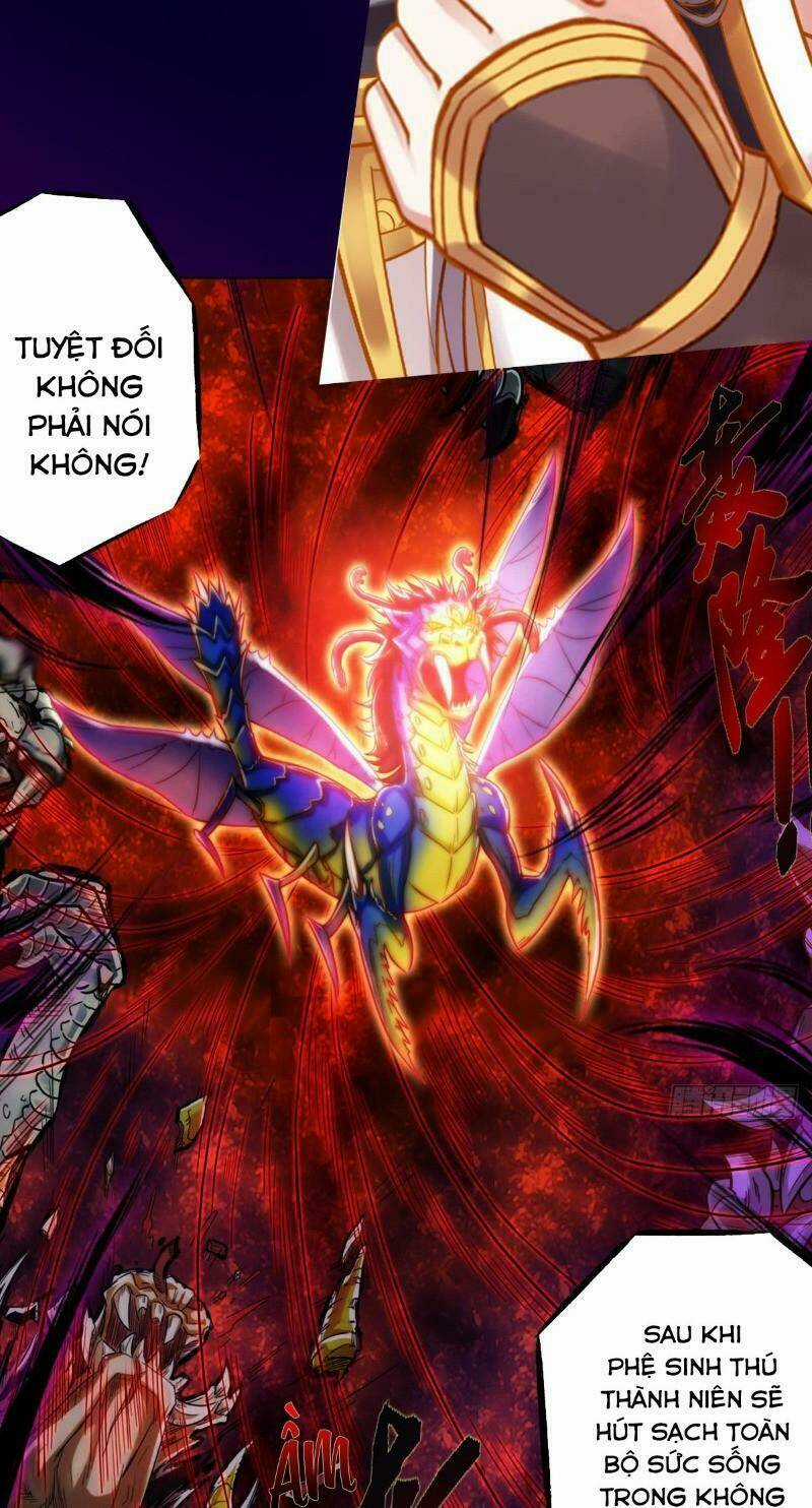 Bất Hủ Phàm Nhân - Chapter 31 - Trang 13