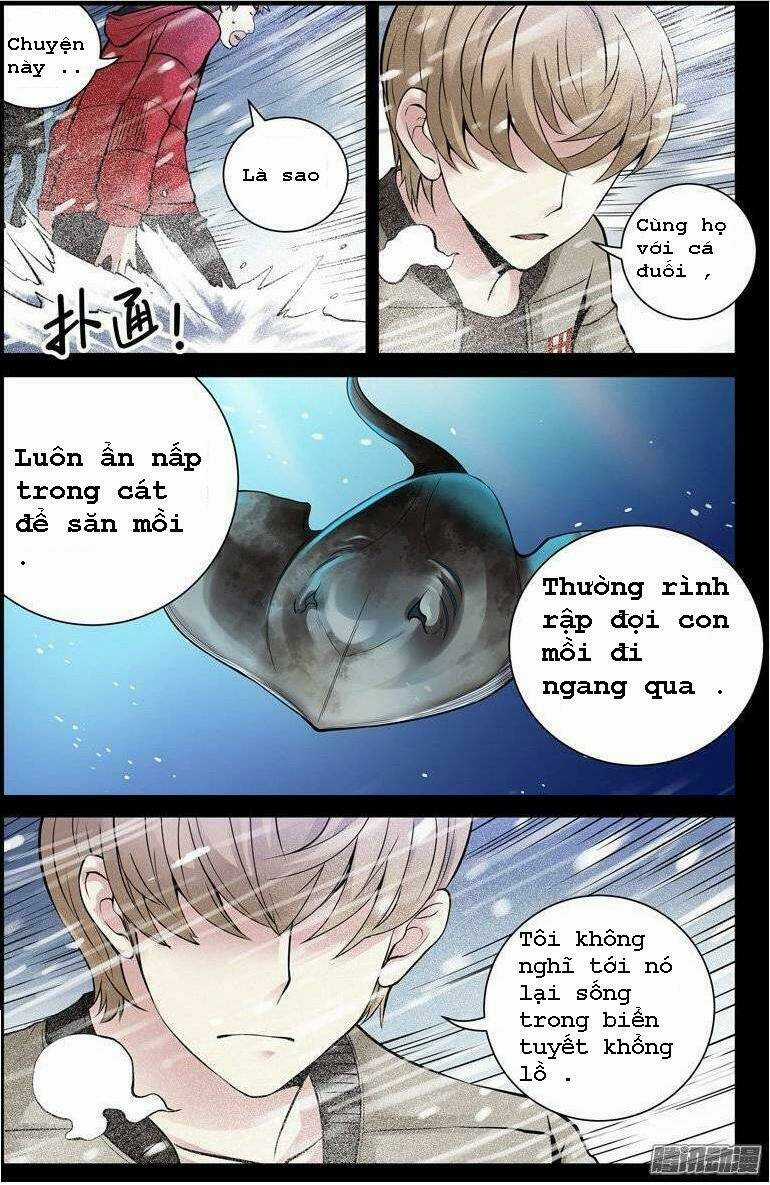 Bầu Trời Máu - Chapter 149 - Trang 9