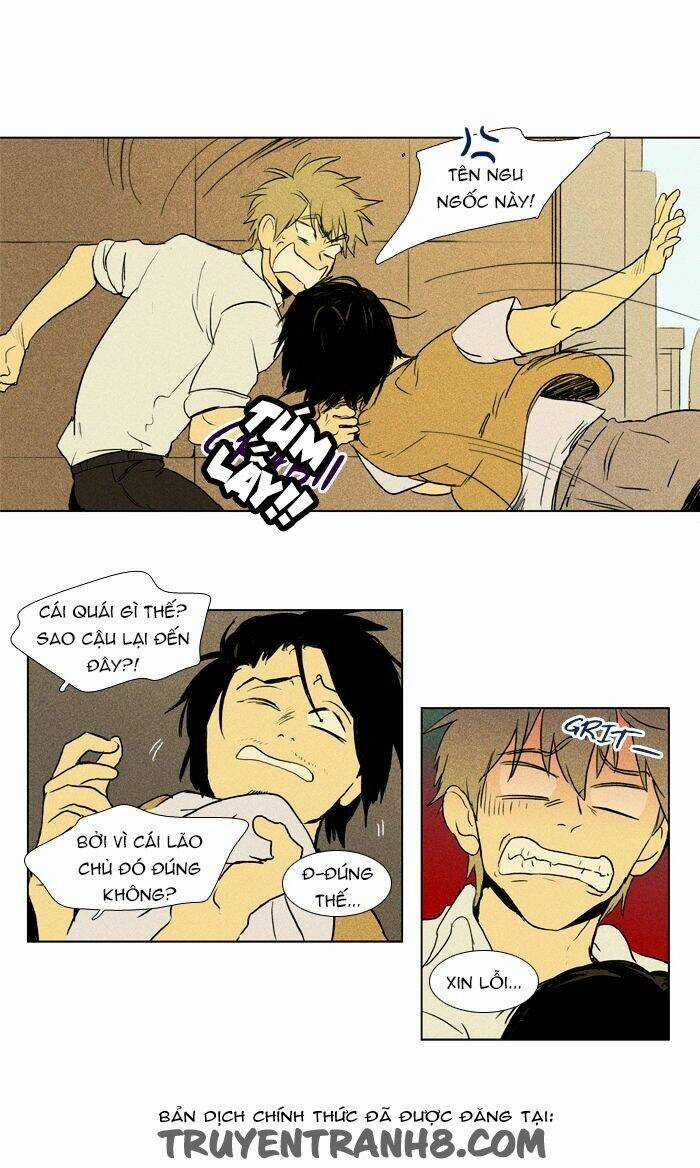 Bẫy Tình Yêu - Chapter 106 - Trang 24